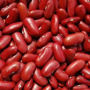 Buy Organic Red Kidney Beans UK