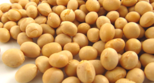 Buy Soya Beans Online UK For Sale