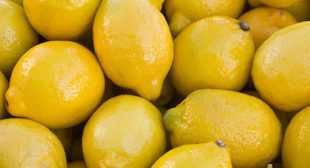 Wholesale Organic Lemons Suppliers in Mexico