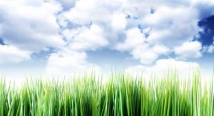 SHAGUFTA DILI LYRICS MEANING IN ENGLISH TRANSLATION SATINDER SARTAAJ – Lyrics Meaning