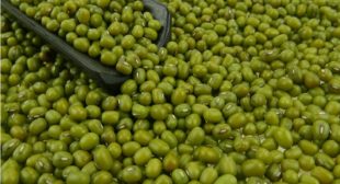 Preparation and Serving Tips of Green Mung Beans Purchased via Online in UK