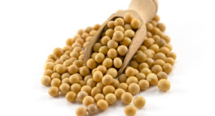 Buy Soya Beans Online UK to Cook and Eat in Different Ways