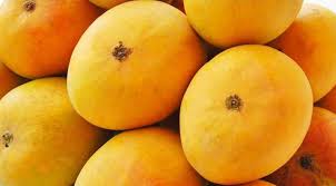 Purchase fresh mangoes from reputed suppliers