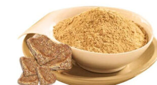 Asafoetida Hing Powder: A Strong Spice with Innumerable Medicinal Benefits