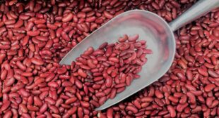 Buy red kidney beans online in the UK based store