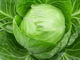 Purchase fresh cabbage from reputed Mexico based suppliers