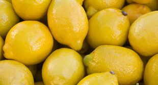 Order Online Organic Lemon Suppliers in Mexico