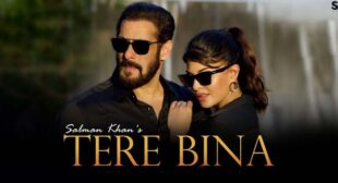 Tere Bina Lyrics – Salman Khan