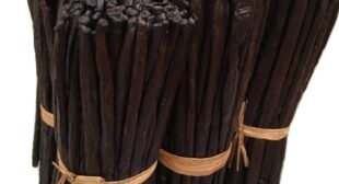 Buy Vanilla Beans at Wholesale Prices