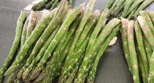 Buying wholesale asparagus suppliers