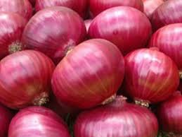 Organic onion distributors in Mexico based reputed store