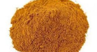 Premium quality of Ceylon cinnamon powder at wholesale prices