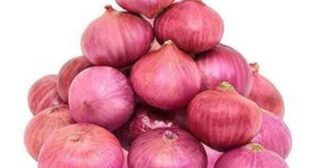 Place order online from reputed onion supplier only