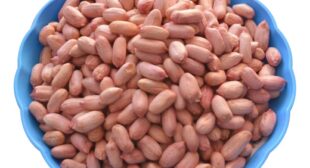 Buy varieties of peanuts online at affordable prices