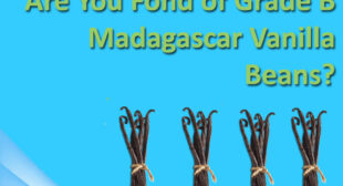 Varieties of Vanilla beans at wholesale prices from online store