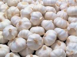 Choose reputed Garlic suppliers at wholesale rate