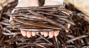 Place order online high quality Tahitian vanilla beans