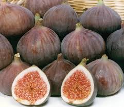Purchase Fresh Figs from Supplier & Try Savory and Sweet Dishes at Home