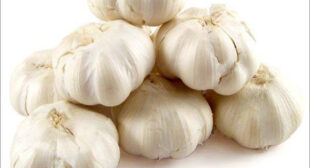 Purchase Organic Garlic from Suppliers to Prepare Garlic Powder & Pickles