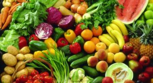 Buy Highest-Quality Organic Fruits and Vegetables from Suppliers in Argentina