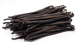 4 Unusual Ways to Add Vanilla Beans Extract in Different Dishes