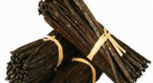 Buy Vanilla Beans Online at Wholesale Rates to Get Myriad Health Benefits