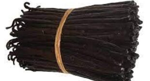 Purchase Vanilla Beans in Wholesale to Get Flawless and Radiant Skin