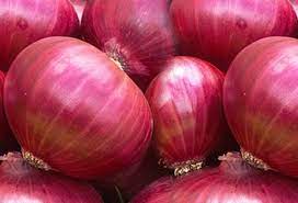 Purchase Yellow, Red, White and Sweet Varieties of Onion from Reputed Distributors