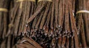 Reuse Madagascar Vanilla Beans in Magical Ways