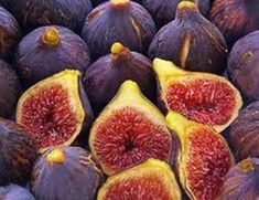 Buy Different Varieties of Figs from Online Suppliers
