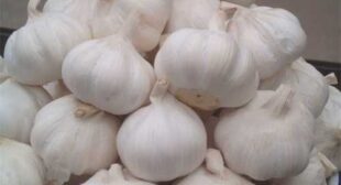 Try Garlic Chutney & Naan at Home by Buying Garlic in Bulk from Garlic Suppliers