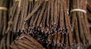 Prepare Vanilla Extract at Home by Buying Grade A Vanilla Beans