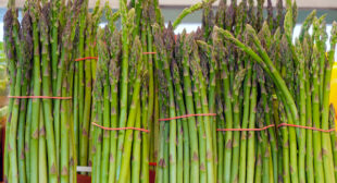 Buy Fresh Asparagus from Online Suppliers or From Grocery Market