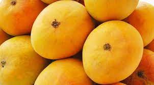 Buy High-Quality Mango from Suppliers to Enjoy Lip-Smacking Mango Dishes