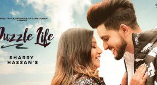 Puzzle Life – Sharry Hassan