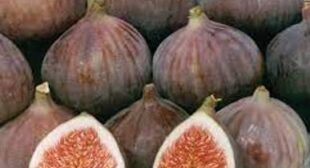 Buy Fresh Figs from Suppliers to Get Beautiful Skin & Hair