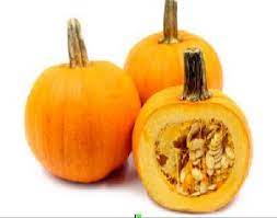 Buy Squash from Suppliers to Eat healthy & Delicious Recipes