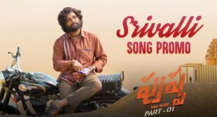 Lyrics of Srivalli from Pushpa