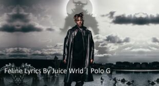 FELINE LYRICS – JUICE WRLD
