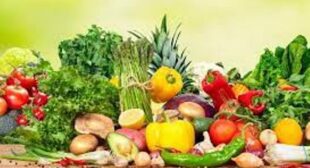 Buy Bulk Products From Organic Fruits and Vegetables Supplier