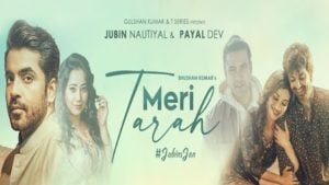 Meri Tarah Jubin Lyrics