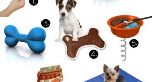 Keep your Pet Happy and Comfortable with these Products – 121 Product Review