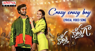 Crazy Crazy Boy Lyrics – Harika Narayan