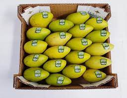 Feast Upon Mangos Anytime by Purchasing from Reputed Suppliers