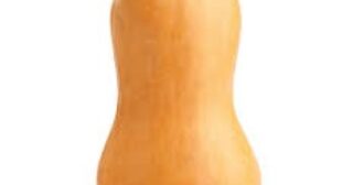 Buy Butternut Squash from Suppliers to Try Delectable Dishes