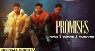 Promises Lyrics – Sukhe