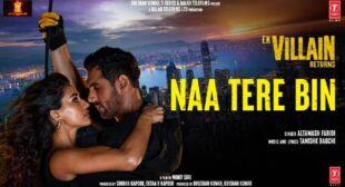 Naa Tere Bin Lyrics by Altamash Faridi