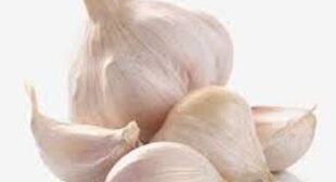 Garlic Suppliers – Fill your Dish with Healthy-promoting Elements