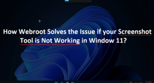How To Resolve if your Screenshot Tool is Not Working Error? Webroot