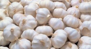Upscale your Immune System with Garlic Suppliers